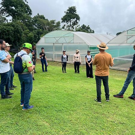 Hotel Pousada E Rooftop Abelha Cacau Altamira  Kültér fotó