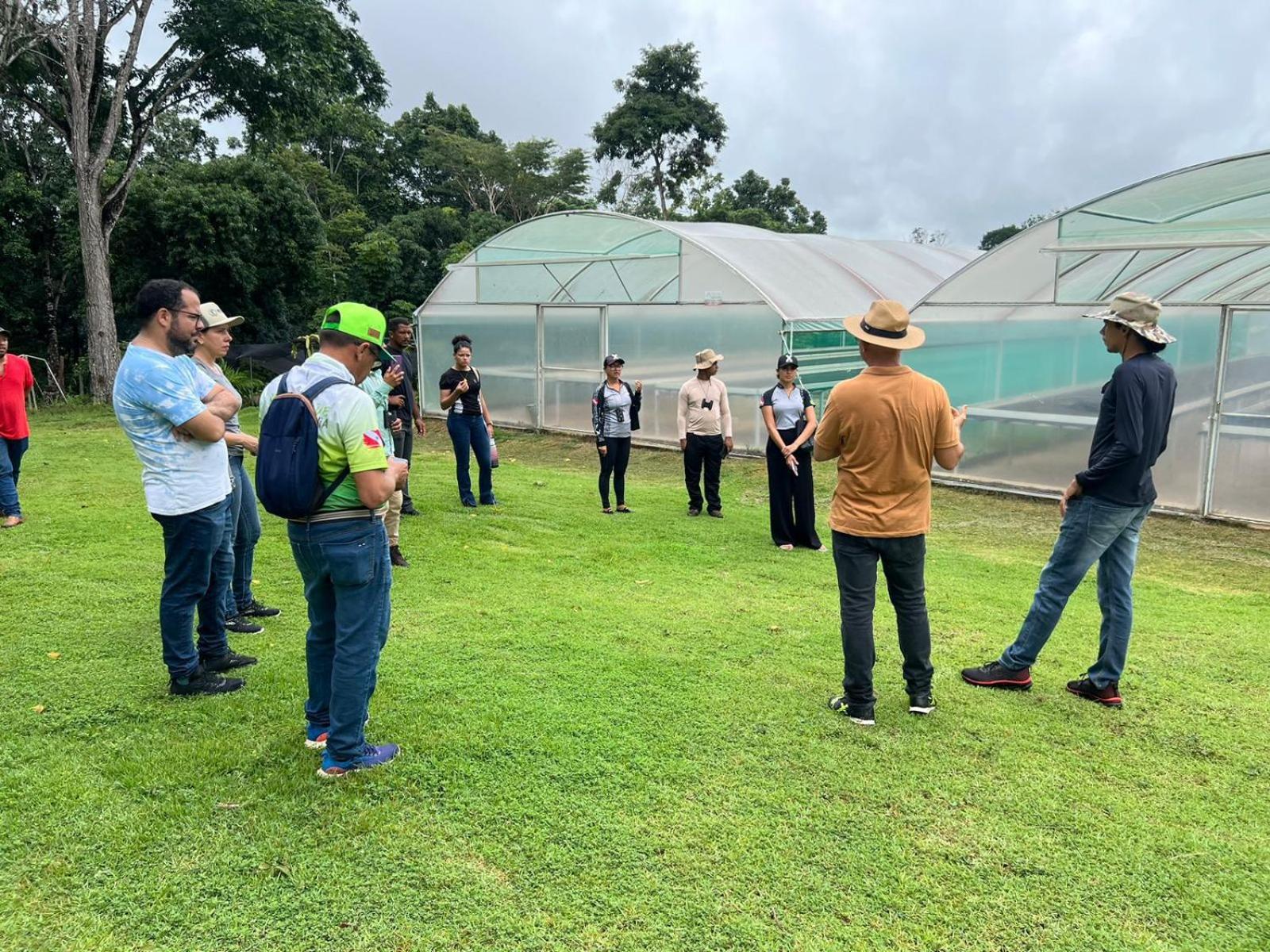 Hotel Pousada E Rooftop Abelha Cacau Altamira  Kültér fotó